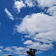 ali109