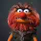 MuppetsonIce213