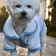 gzgzgz