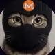TrueBottomHunter