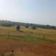 murathe