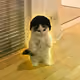 _michidev