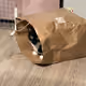 hotbell