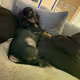 leroythor
