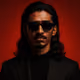 vidhunzora