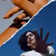 wilddavid