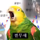 seungwooooooo