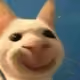 cloast