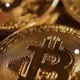 cryptoking007