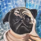chestersantos