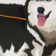 luckyamanda114