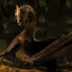 smaugdragon