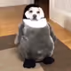 archieyi