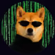 NoisyNiu