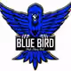 blue-bird
