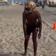 goosemanjones1