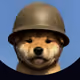 soldnerscales