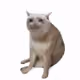 jimothyD