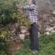 javaheriyan8
