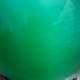 tuananhx6