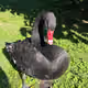 scrooge777