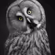 hossein1