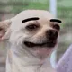 thanhvpga