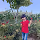 mehdi1