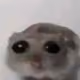 dkhstt