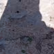 deserhat