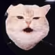 lilTess