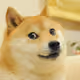 dogewassie