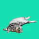 meowkit