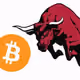 dailycryptobull