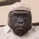 harambe01