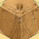 vitruvian