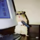 Papi_