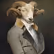 goat