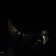 Hulk01