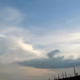 rareshots