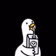 amirkz