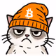 mtgoxcat