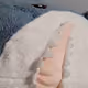 fatcatadriano