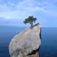 0xsurvivor