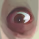 utkudedetas
