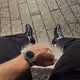 aipump