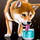 Dogelana