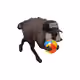 2194