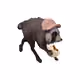 2954