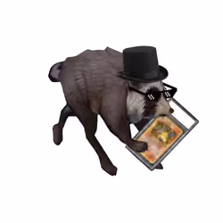 555